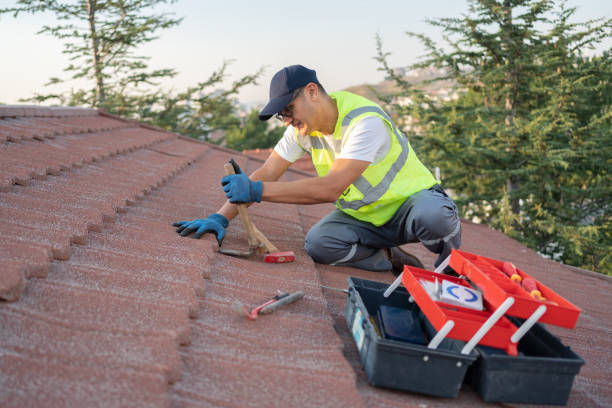 Roof Gutter Cleaning in Rice, TX