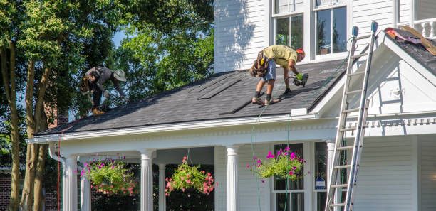 Best Roof Gutter Cleaning  in Rice, TX